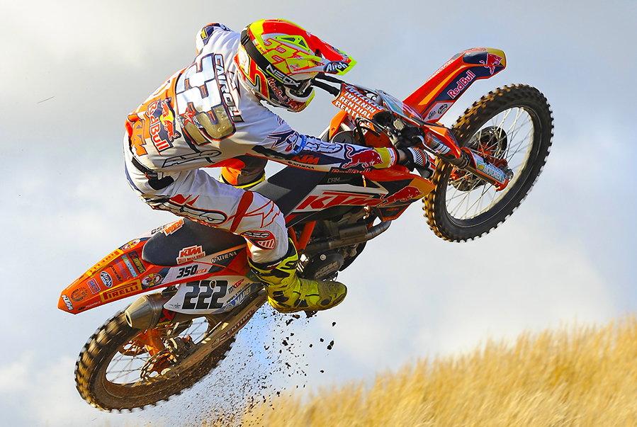 Cairoli-back